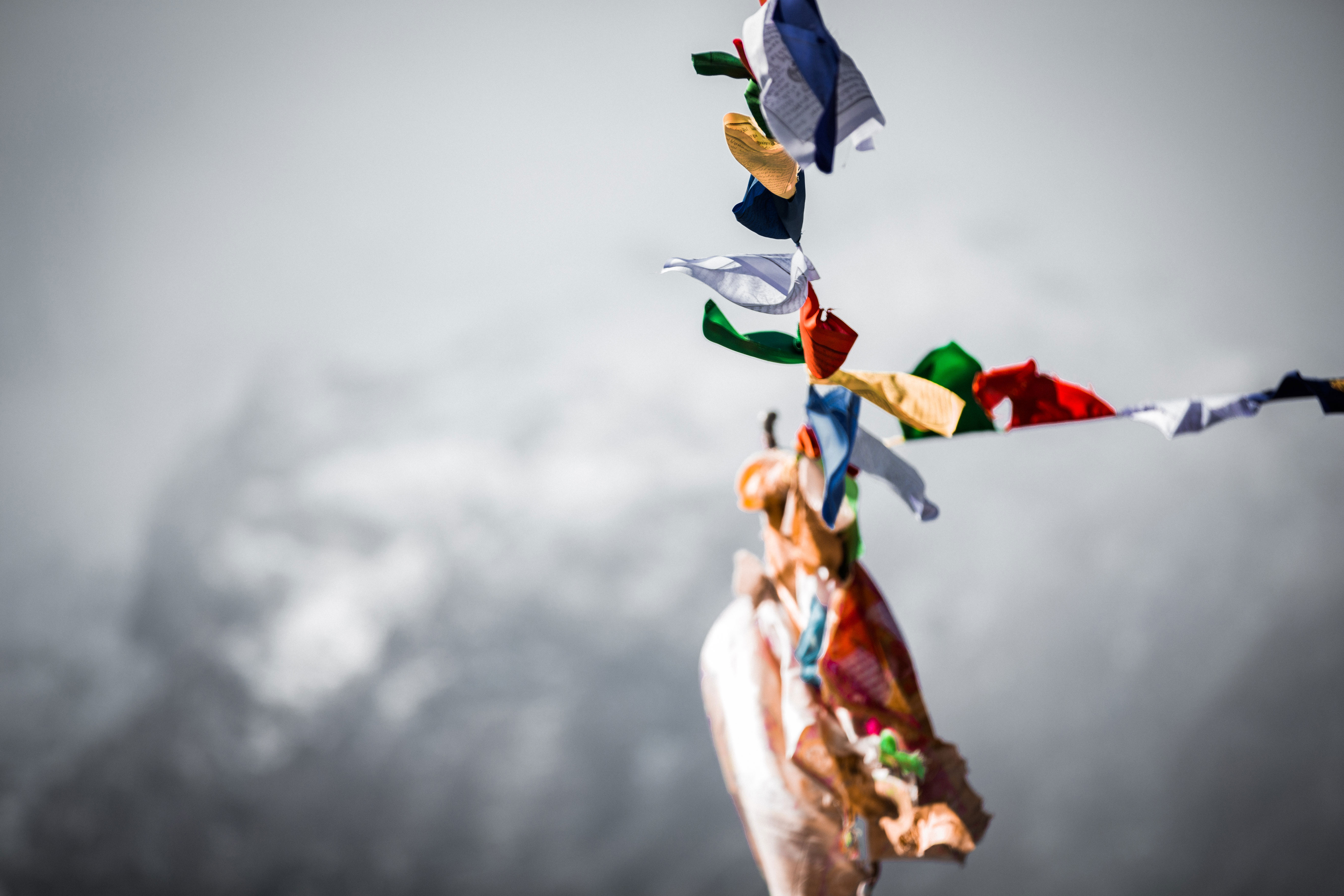 "Tamu" most widely known as Gurung is an ethnic group from the central region of Nepal. Tamu means Gurung in Gurung Language, also known as "TamuKway".
The main place of settlement of Gurung are in the lap of the Annapurna and Machhapuchhre mountains in West Nepal's Gandaki zone specifically Kaski, Lamjung, Tanahu, Gorkha, Parbat districts. Small numbers also lives in Baglung, Taplejung, Sunsari distraicts as well as Sikkim and also Bhutan. There are roughtly 450,000 Gurungs in Nepal totaling about 2.43 of the population.
Some anthropologists deduced that the Gurung people are descended from the historical pre Mongal people known as "Hun" of Central Asia. They became to be known as Gurung once they settled in Nepal. Gurungs were followers of ancient Bon religion which is Shamanistic and animistic in nature. Tibetan Buddhism was later introduced. Today, majority of the Gurungs are followers of the adapted Tibetan Buddhism with strong Bon shamanism influence.
The traditional occupation of the Gurung people is agriculture but some breed animals like sheep and also trans-Himalayan trade. Gurung are famous for their innocence, simple mindedness and bravery while serving in military forces. After the late 19th and early 20th century, many Gurung were recruited to serve in the British and Indian Gurkha regiments. Gurungs are the one of the major group from Nepal representing Gurkhas, the feared soldiers. Today they also server for Gurkha Reserve Unit(Brunei) and the Singapore Police Force. Employment in foreign Military service has become the basis of the economic system of Gurungs.
All together Gurung people have earned 6 Victoria Cross awards for their bravery while service in the British Army.
Rodhi is noted as the Gurung tradition where teenagers socialize, perform communal tasks and even find marriage partners. In Gurung language Rodhi means a place to settle for the night.
Gurungs have their own mother tongue called "Tamukway". Most of the Gurungs still converse in that language. Although Gurung don't have written records, they passed on their language and culture through oral tradition.